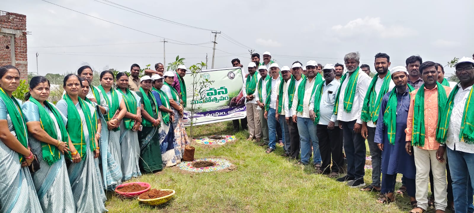 Mass Plantation